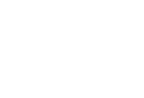 Techi Electric