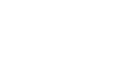 Techi Services